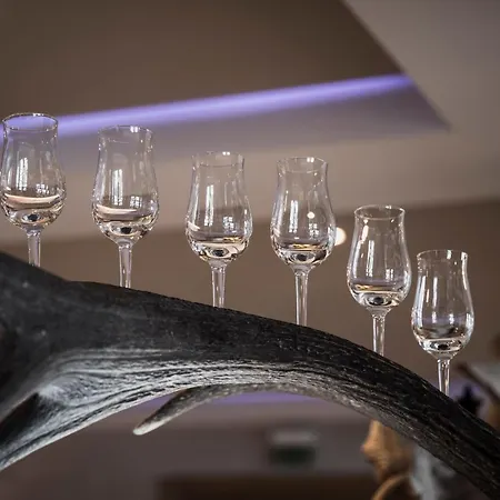 Verwoehn-wellnesshotel Walserhof 4*