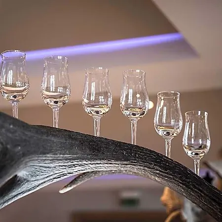 호텔 Verwoehn-wellnesshotel Walserhof 4*